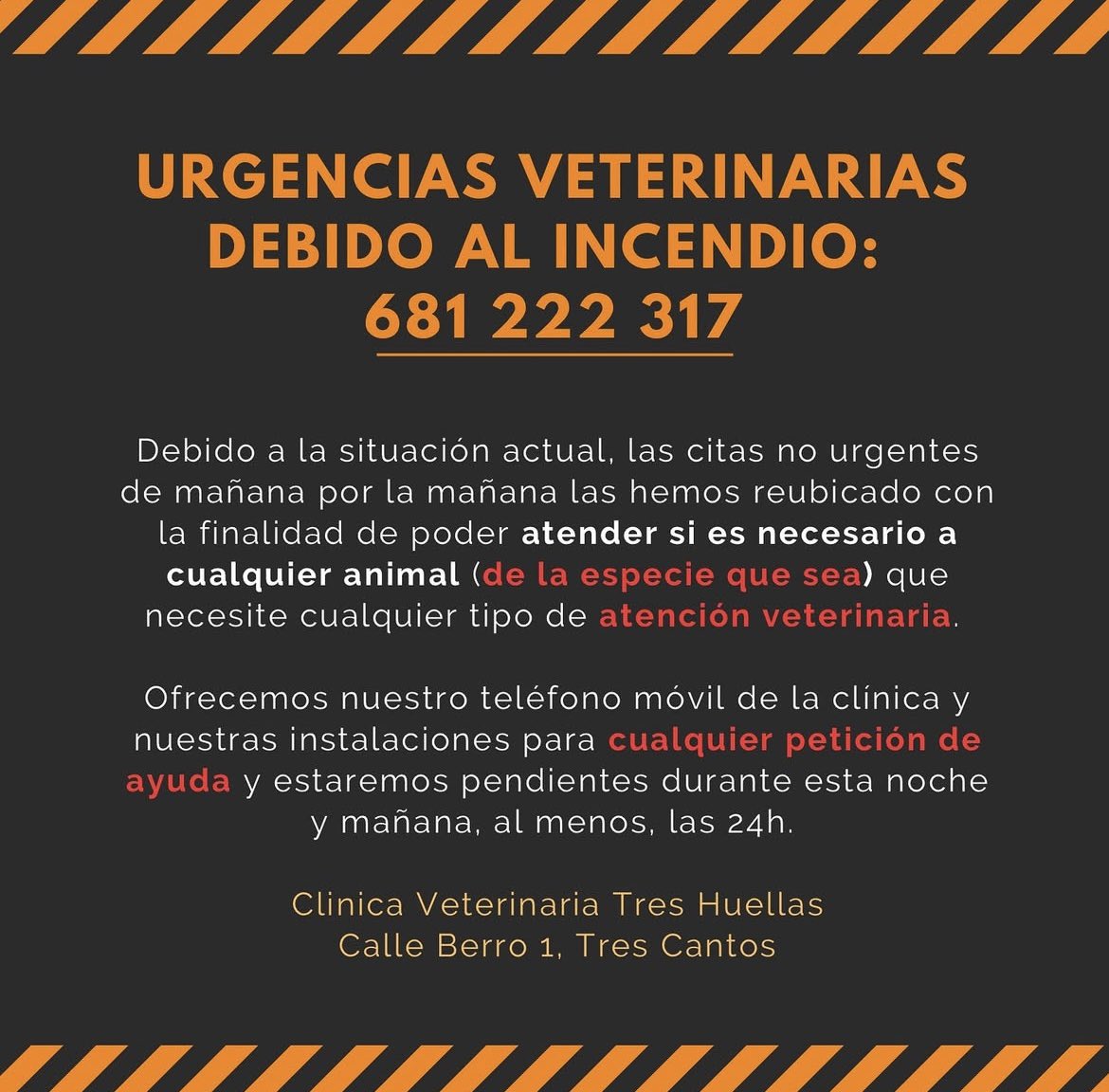 Vrc_08's tweet photo. Treshuellas vet está prestando atención a animalitos que lo requieran por lo incendios forestales🚨
#trescantos https://t.co/ggnbJCQ802