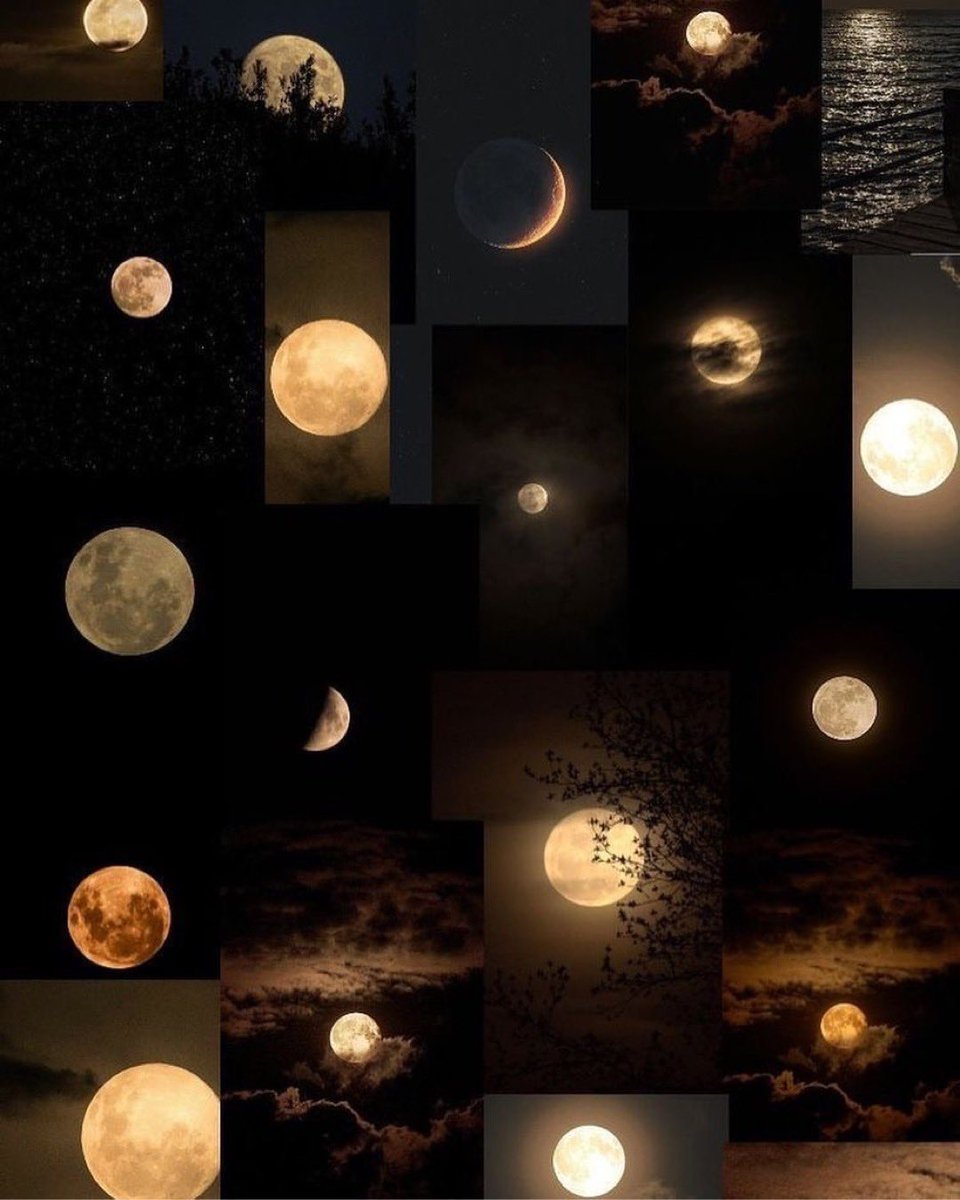 Moon lover