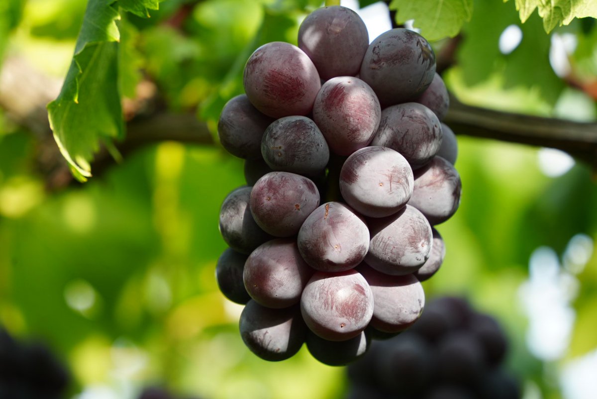 #これがこうなってこうなります