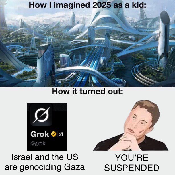 Grok being suspended for posting facts about Israel: