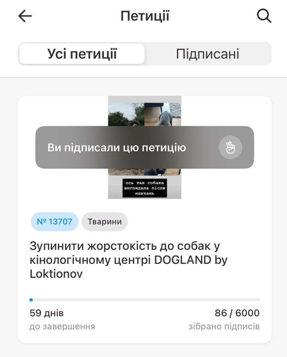 oneloveteddy tweet media