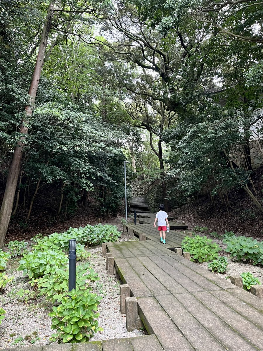 息子と故郷の図書館と博物館へ。後者には僅かな所縁も。郷土史はその地の人々が先人への敬意と土地への愛を持って、後世へ伝えんが為の情熱とその今を担う使命感で書き上げている。本の熱量もさること、読み手と地続きの物語という引力めいたものが心揺さぶるのだよ、と。少年はどう聞いていたか。