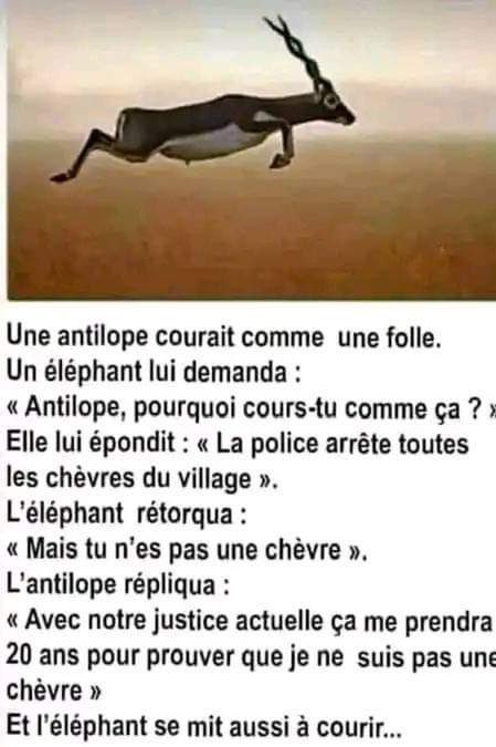 Amadou SNIK🇲🇱✋👊🤙 tweet media