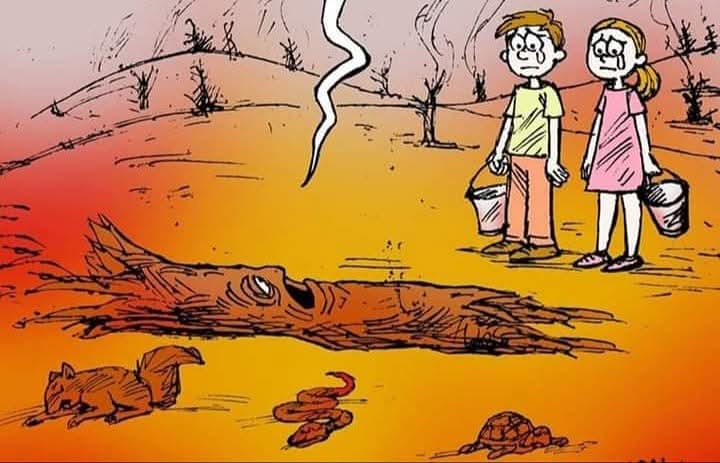 Bizler ölüyoruz çocuklar. Lütfen sizler ileride doğayı seven yöneticiler seçin...
🌿😔🐾
#TürkiyeYanıyor 
#ÇANAKKALEYANIYOR