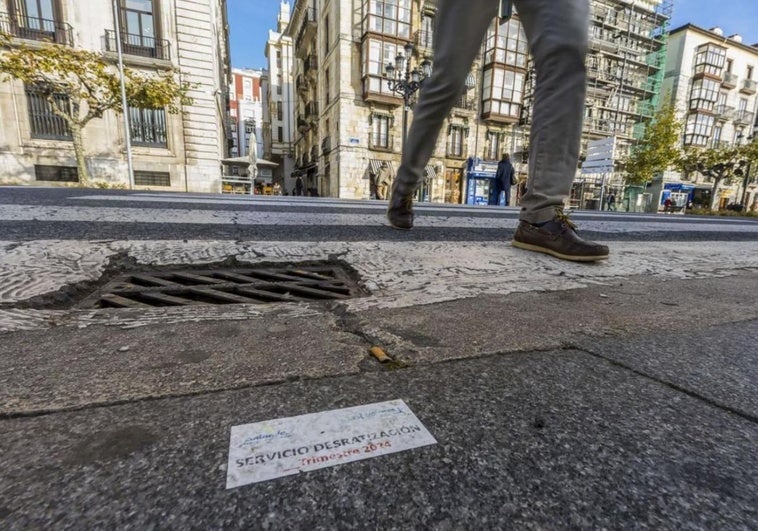 🗣 Gema Igual, sobre las ratas en Santander: «No conozco ninguna ciudad donde no haya gente del Partido Popular»