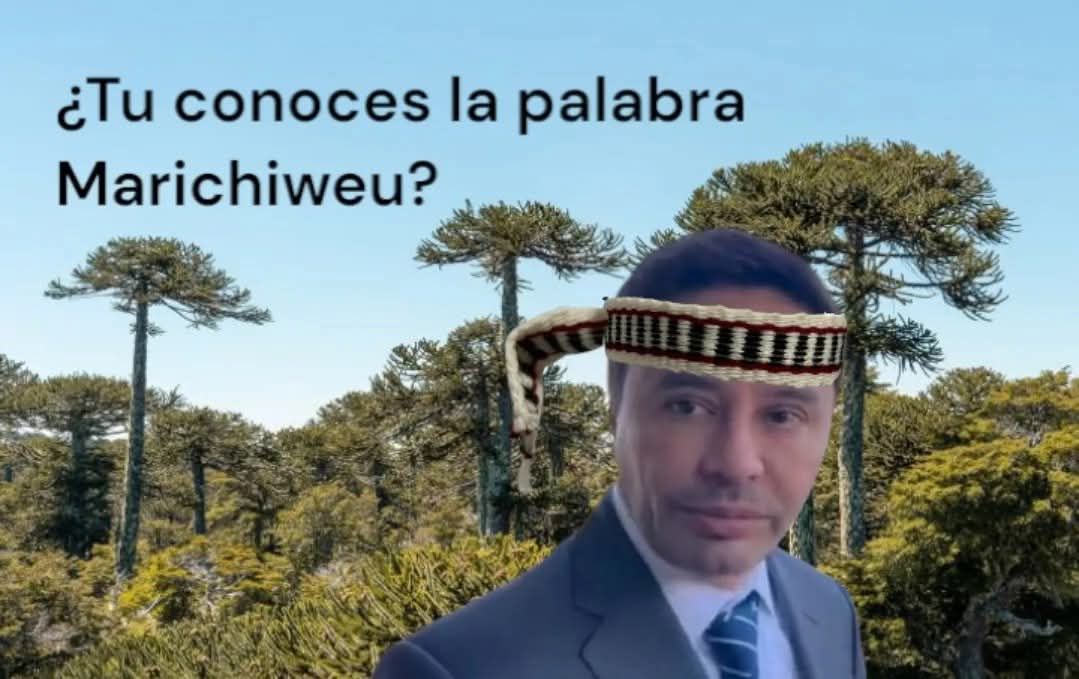 Reportando Fachos Cringe tweet media