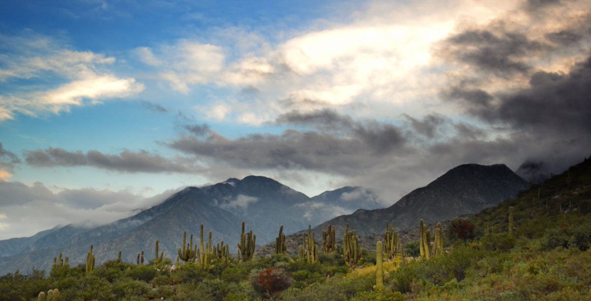 🎉 ¡Feliz 148° aniversario, Castro Barros! 🎉

Con orgullo celebramos la historia, la cultura y la calidez de su gente. Este aniversario es un momento para reafirmar nuestro compromiso de seguir acompañando el crecimiento y el desarrollo de cada localidad del departamento,