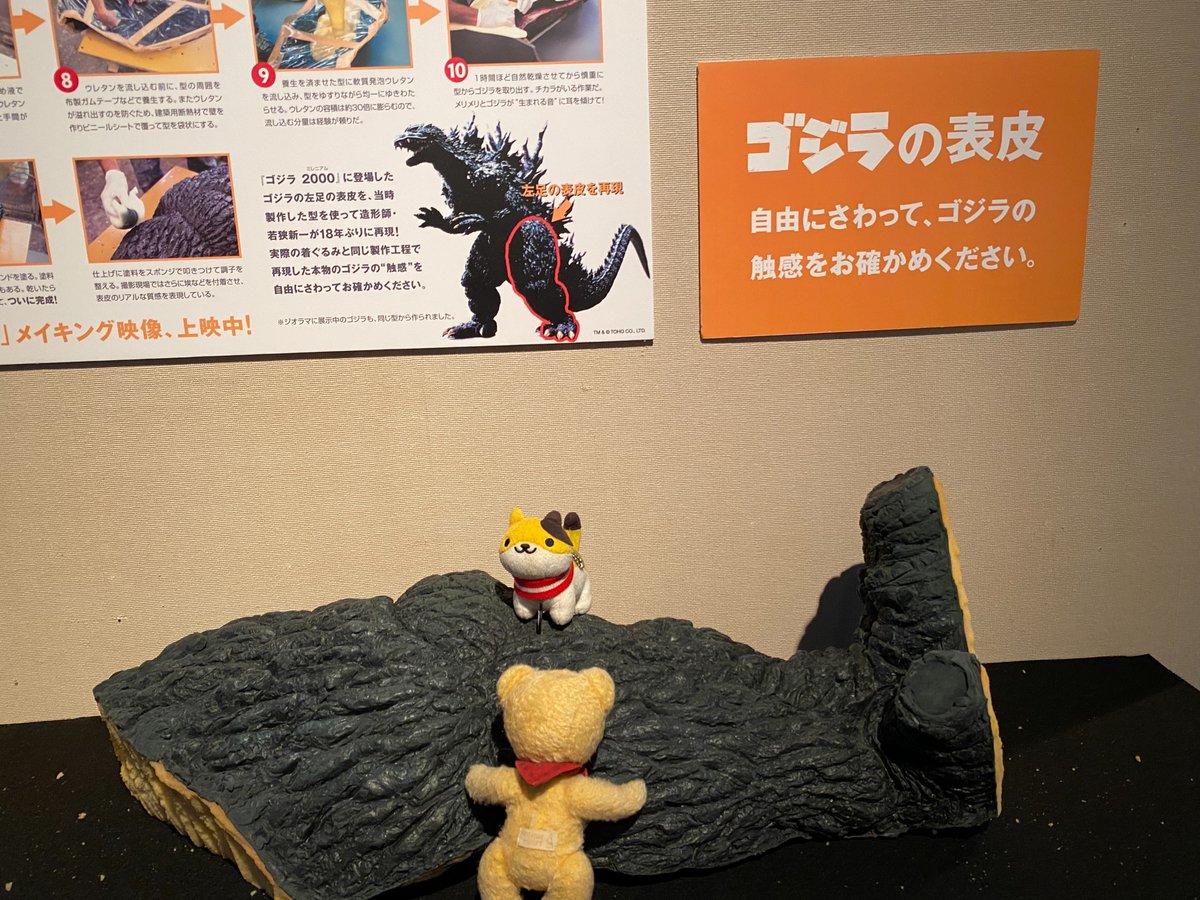 NPOnuigurumi's tweet photo. 今度こそ！
今夜のメインディッシュ🍖確保ーっ！
とりあえず三枚におろすかにゃ。

え！＠０＠ https://t.co/t8MTWwT38C