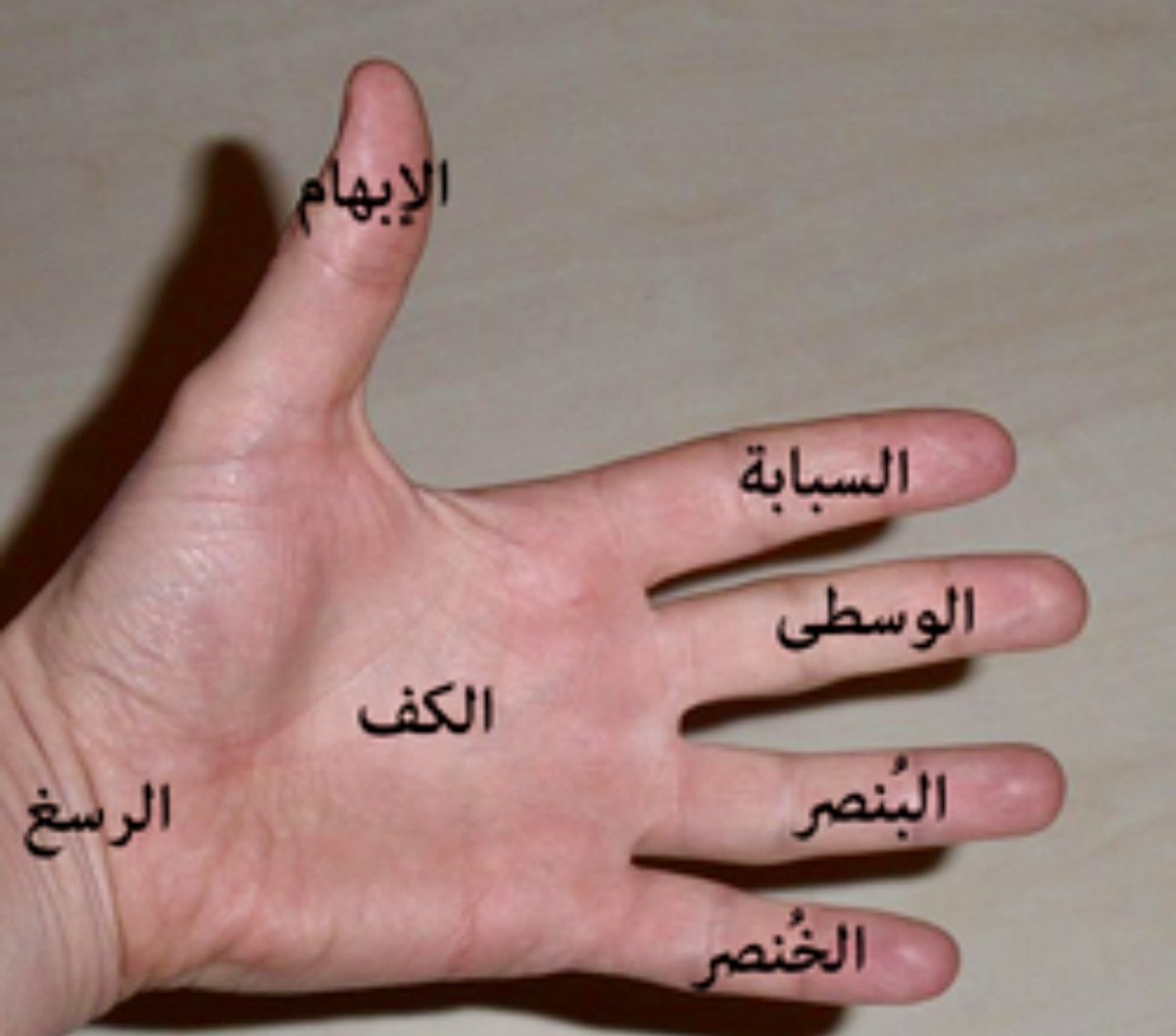 Dr Heythem ALZAMEL, FACS; الدكتور هيثم الزامل tweet media