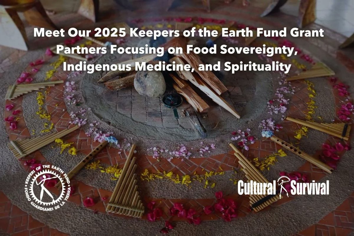 CSORG's tweet image. Meet Our 2025 Keepers of the Earth Fund, #KOEF Grant Partners Focusing on Food Sovereignty, Indigenous Medicine, and Spirituality: culturalsurvival.org/news/meet-our-…

#IndigenousFoodSystems #IndigenousRights
