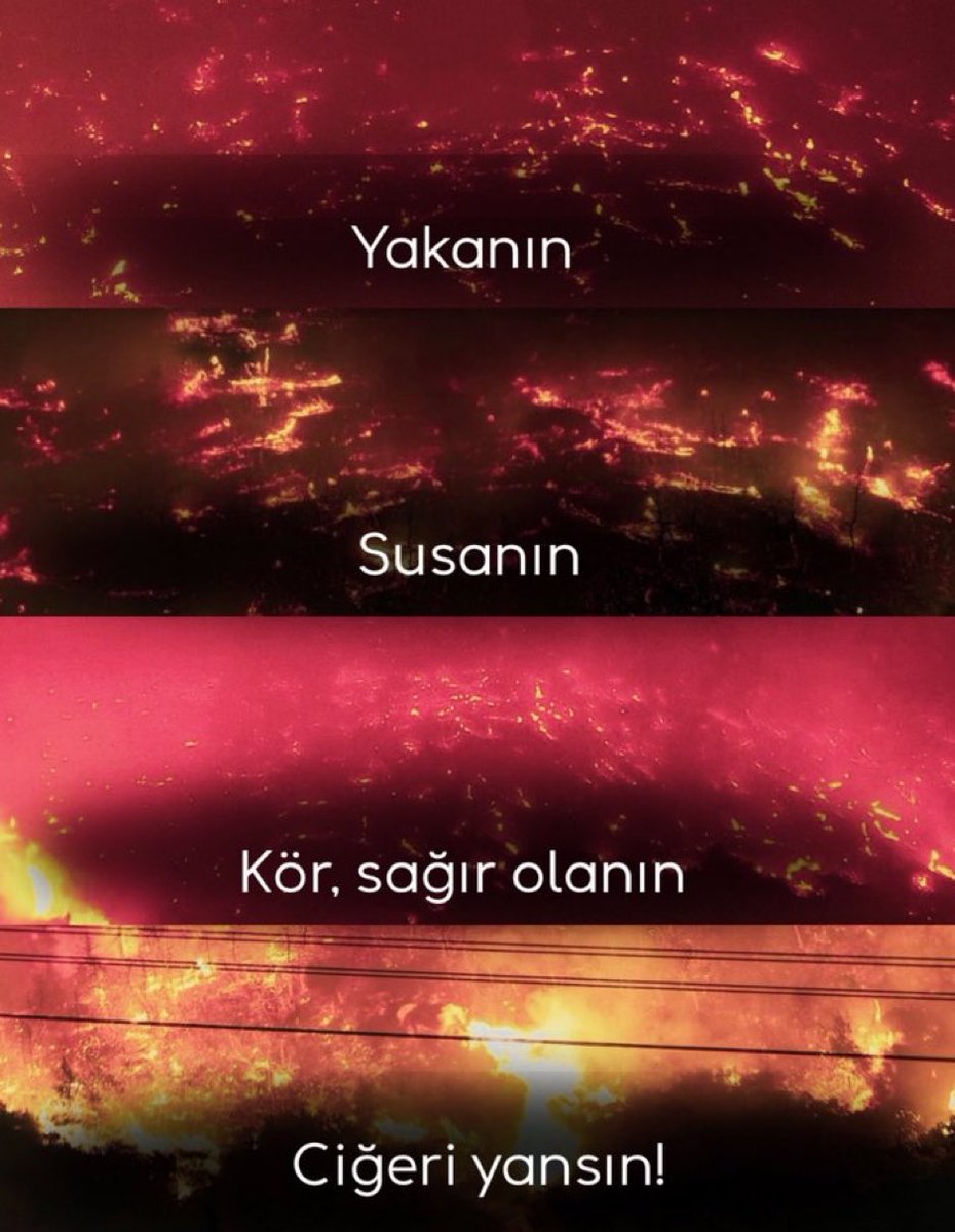 Bu #yangın sebep olanların ailesini yaksın!

#ÇanakkaleYanıyor