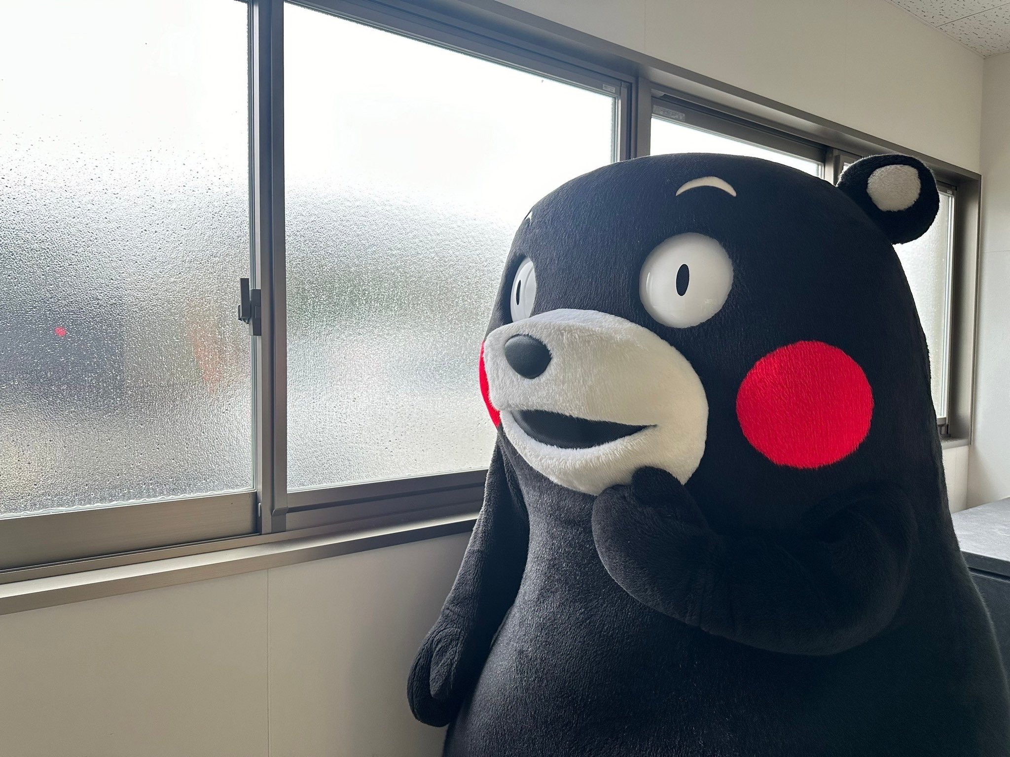 くまモン【公式】 on X: 