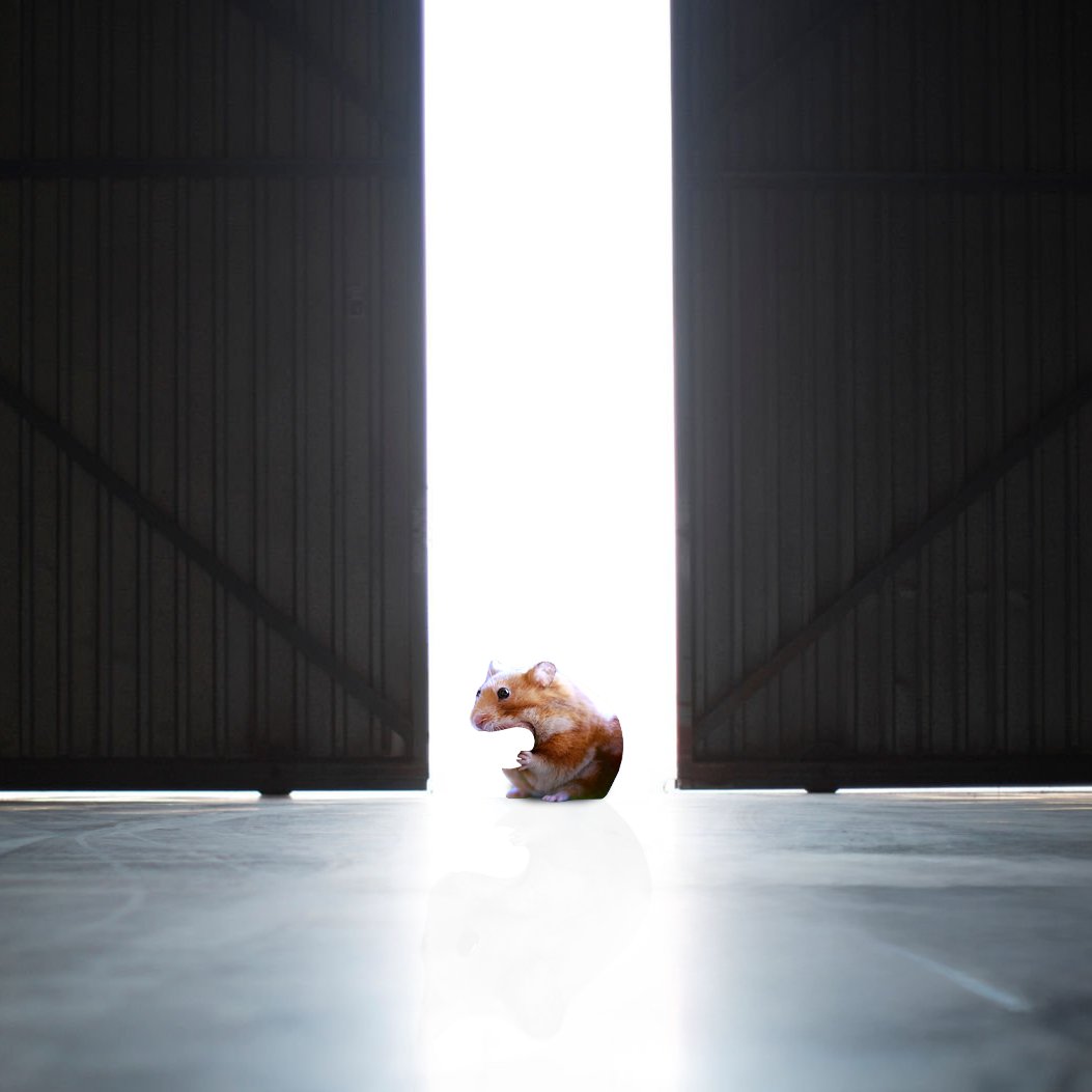 You underestimated nomnom last year.
Will you make the same mistake this year?
$nomnom