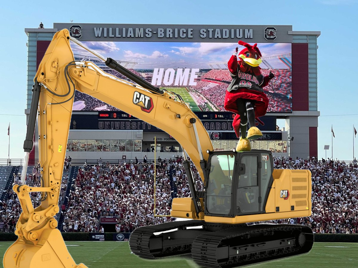 squid_sucker's tweet image. Imagine, if you will, rough draft idea for a new Cocky entrance at Williams-Brice