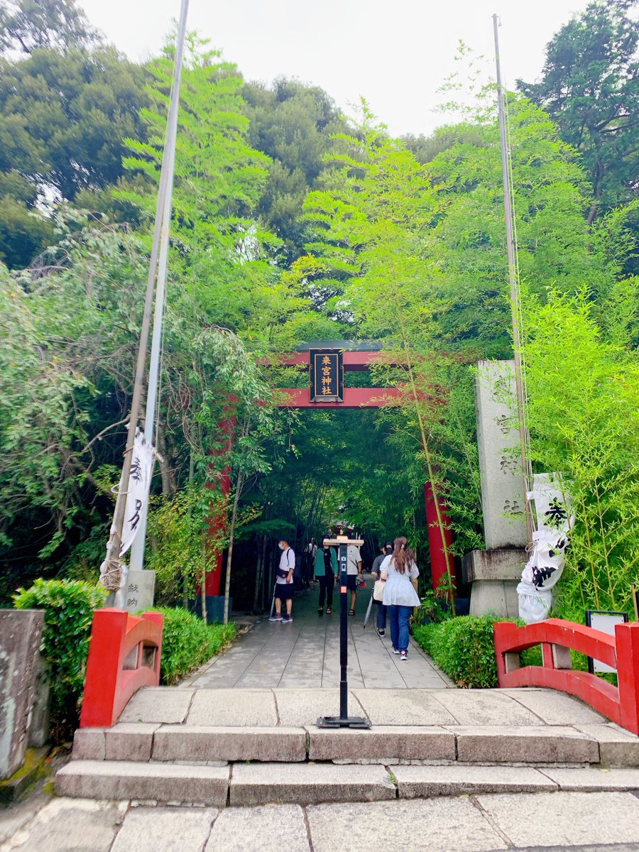 静岡 熱海 來宮神社

熱海で人気の來宮神社

書置きは、來宮神社で有名な「楠」と同じ素材で作られた特別な御朱印となります🌳
触り心地めっちゃ良かった！！

 #御朱印 
 #來宮神社 
 #静岡  #熱海