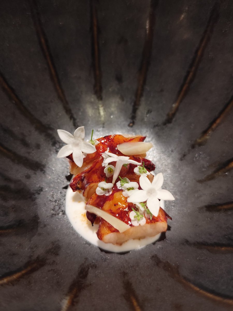 Los hermanos Padrón saben lo que se hacen.

Canarias sigue siendo el mejor viaje posible, cinco intentos después.