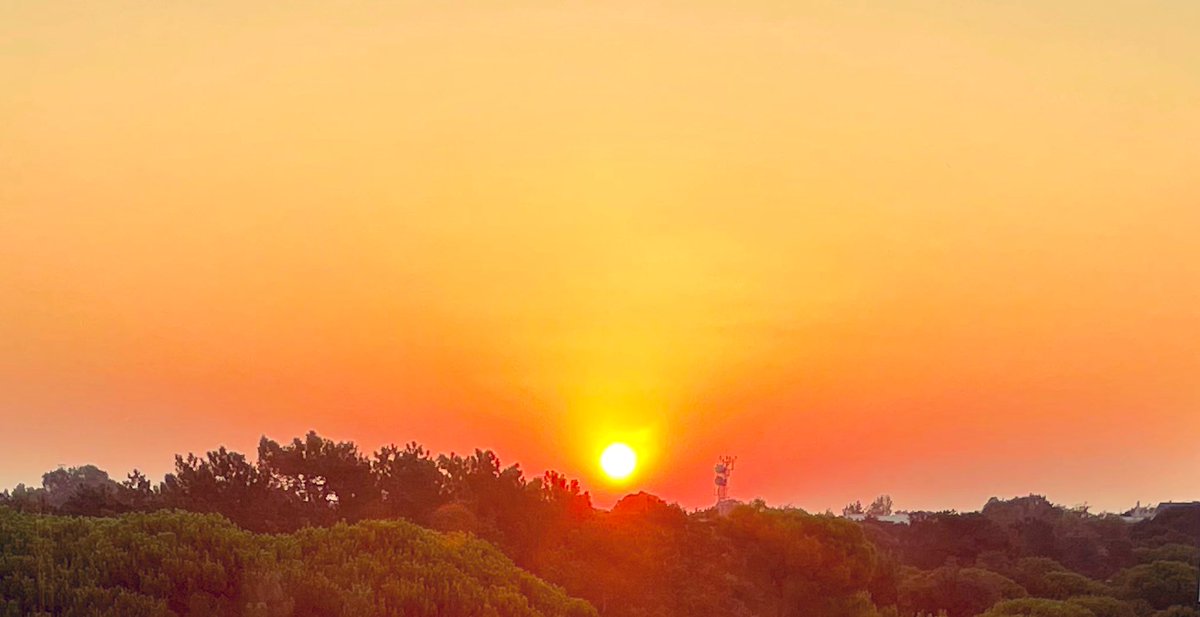 Foodpost Nr. 3:
Carbonara 
- alla Tartufata
- al Mare
- alle 5 verde

Baby Gnocchi al Pomodoro.

Und ein Sonnenaufgang.
Gleich gehts auf den Markt. Habt nen schönen Tag!