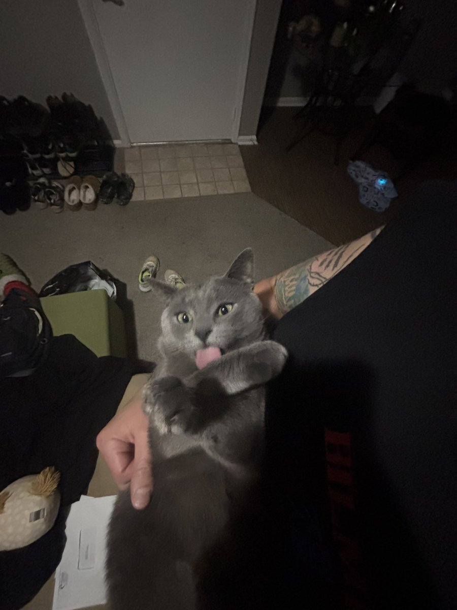 cat threw his first X up