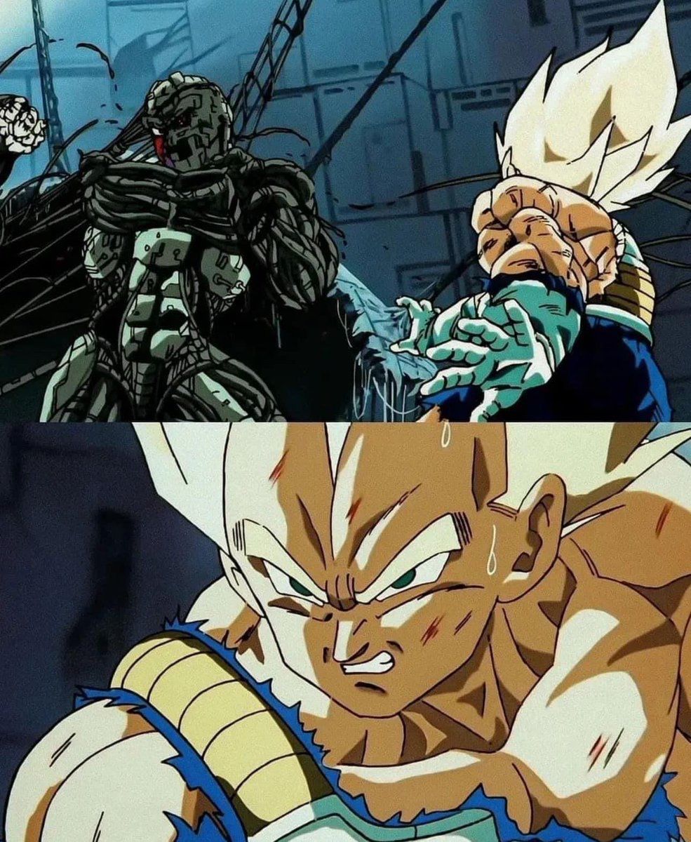 Dragon Ball Daily (@dbzdaily_) on Twitter photo 