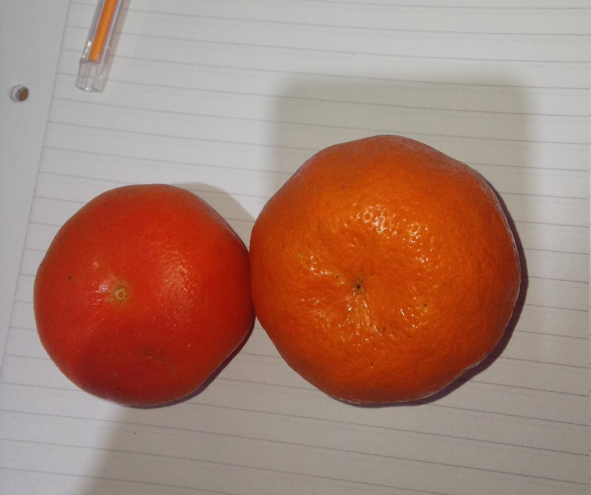 previa en casa❤️‍🔥❤️‍🔥❤️‍🔥