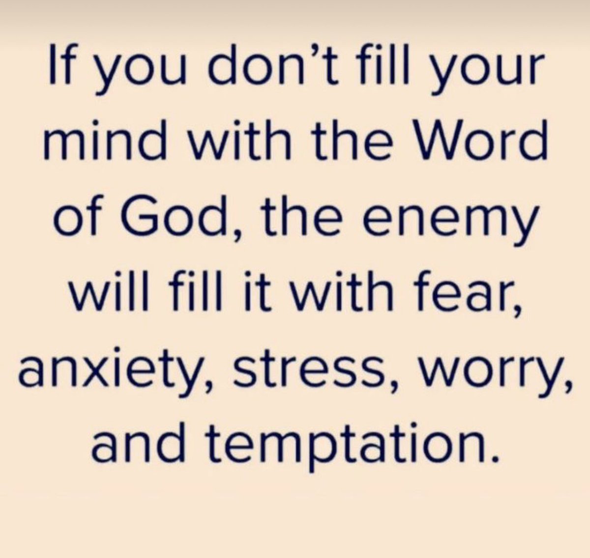 🌷 LIZZIE🌷 tweet media