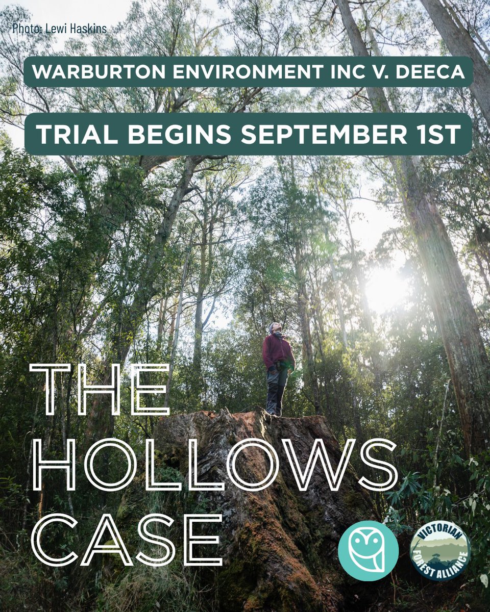 The Hollows Case – Warburton Environment v DEECA

The trial begins Monday 1 September at 10:15am and is set down for 7 days.
Come along: Federal Court, 305 William Street, Melbourne

Support:
chuffed.org/project/110348…