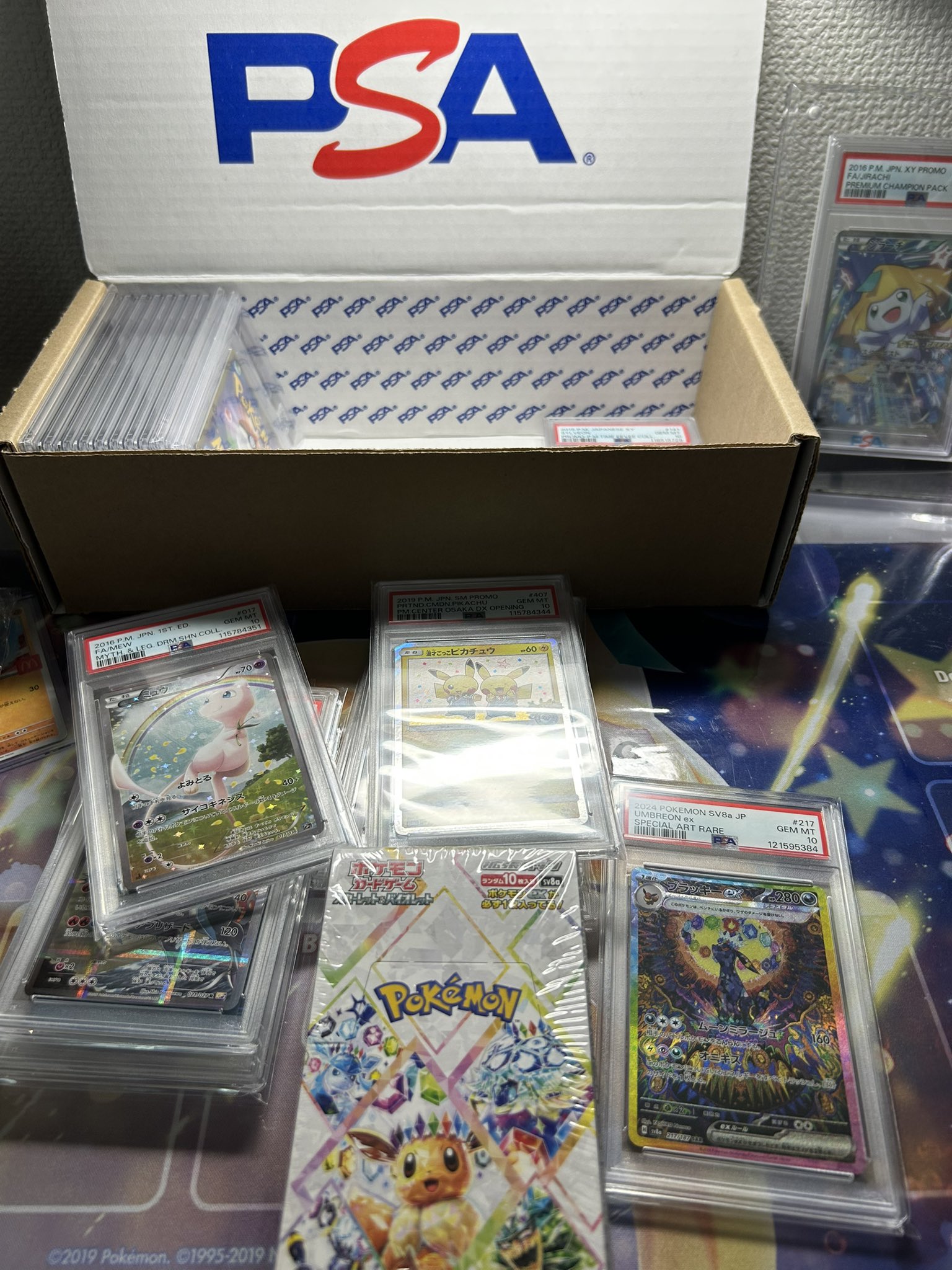 テラスタルフェスex ヨドバシ産　5BOX テラスタルフェスex ヨドバシ産 5BOX | ポケモンカードゲーム