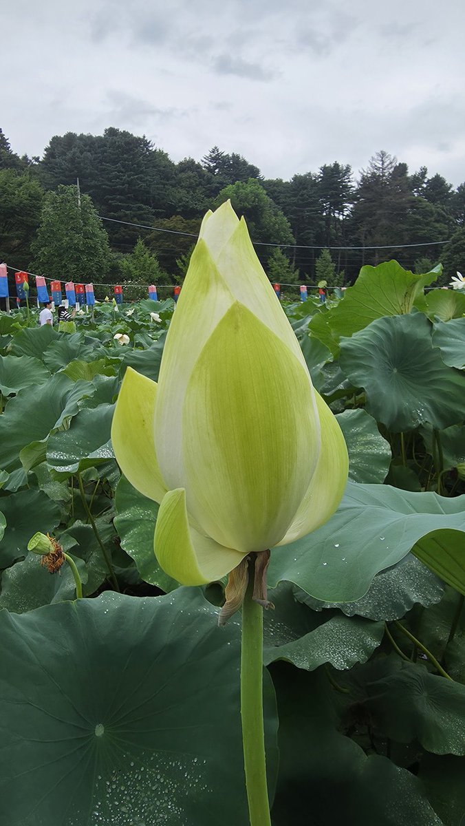 달과❤️별 (@namiyonghan) on Twitter photo 