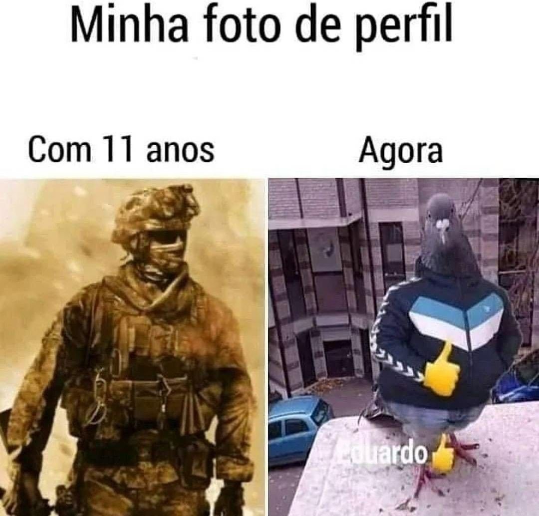 Terror do Cotidiano (@terrorcotidiano) on Twitter photo 
