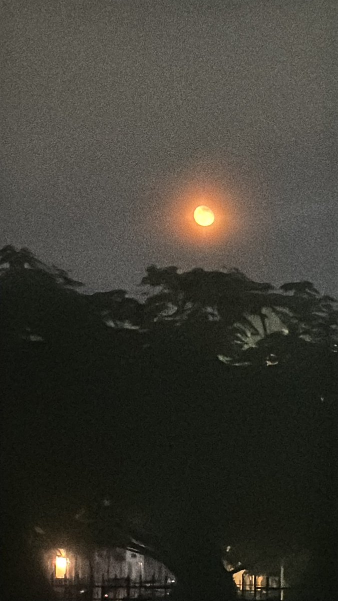 #TaylorSwift  see you next era 🧡 hasta la luna esta del color de lo que viene