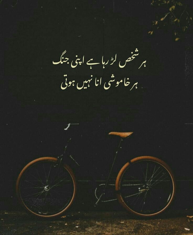 ہمیں کسی دوسرے کی آنکھ سے, کسی تیسرے کو نہیں دیکھنا چاہیے