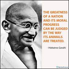 <a href="/navneet_AWCS/">Animal welfare and care services, AWCS foundation</a> 🙏