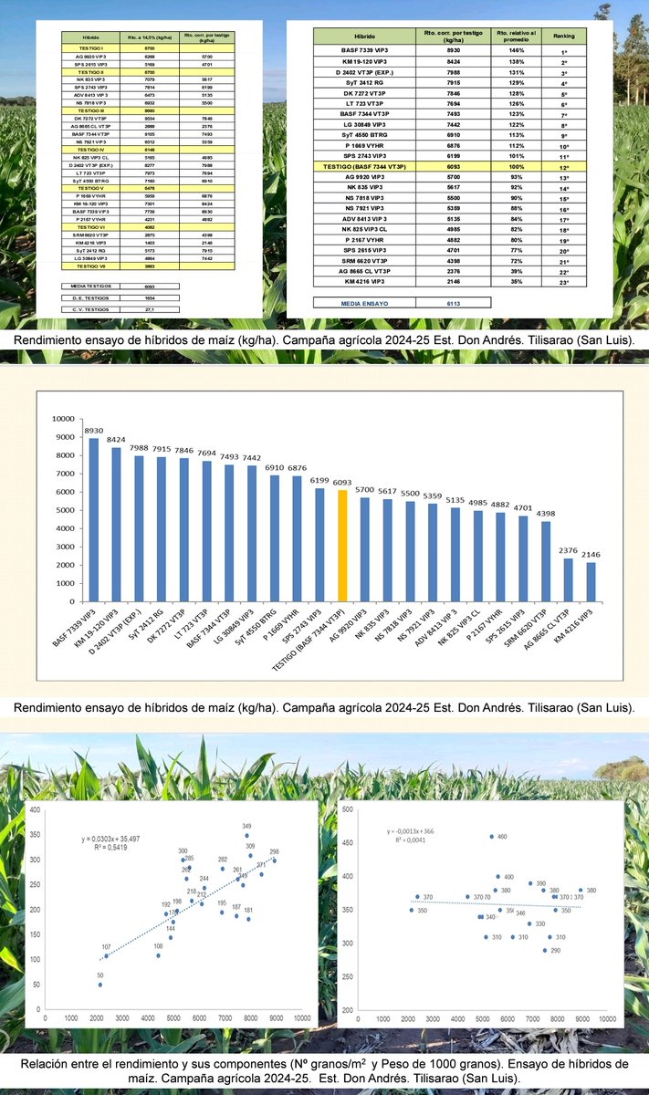 Ensayo de híbridos de maíz
Campaña 2024-25 
Don Andrés - Tilisarao (SL)
<a href="/FICAUNSL/">Facultad de Ingeniería y Ciencias Agropecuarias</a> 
<a href="/INTAsanluis/">INTA San Luis</a> 
<a href="/bongiovanniagro/">BONGIOVANNI AGRO SRL</a> 
<a href="/Cy0_2025/">Cereales y Oleaginosas _UNSL</a> 
<a href="/juampiodetti/">Juan Pablo</a>