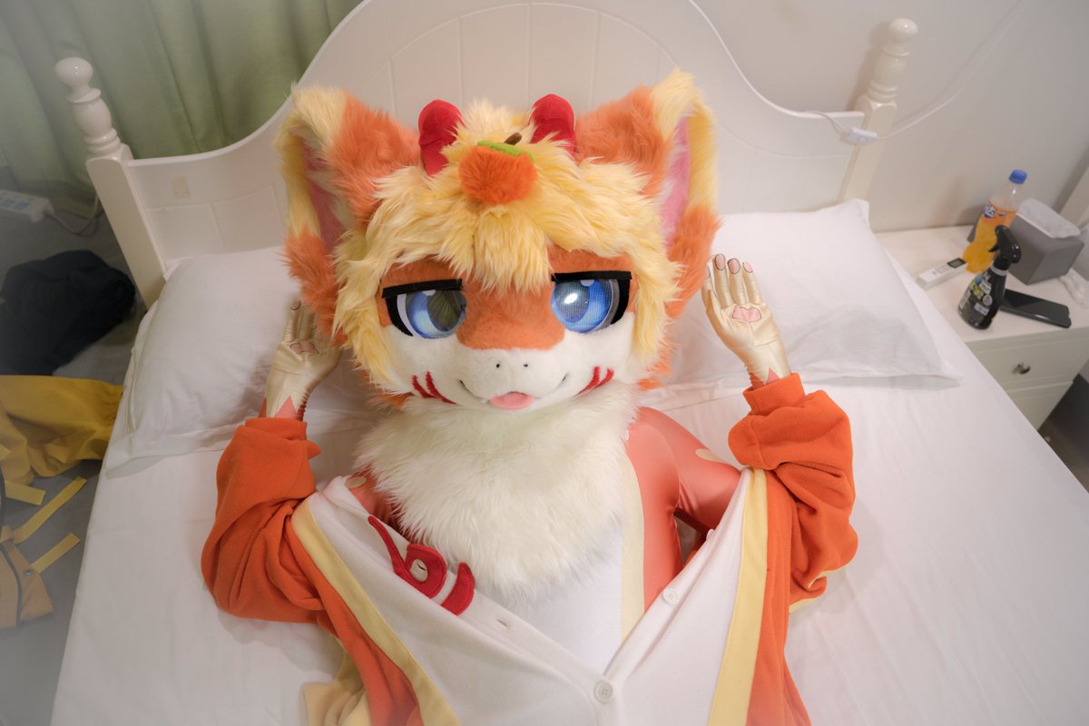 毛绒绒的逸龙 tweet media