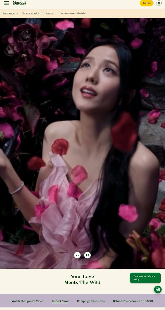 jisooschart's tweet photo. JISOO's Your Love Special Video is featured on the Mandai Wildlife Reserve official website.

Its video is a partnership with the Singapore Tourism Board (Visit Singapore) and Mandai Wildlife Reserve. #YourLoveMeetstheWild https://t.co/AVuSI4DI2o