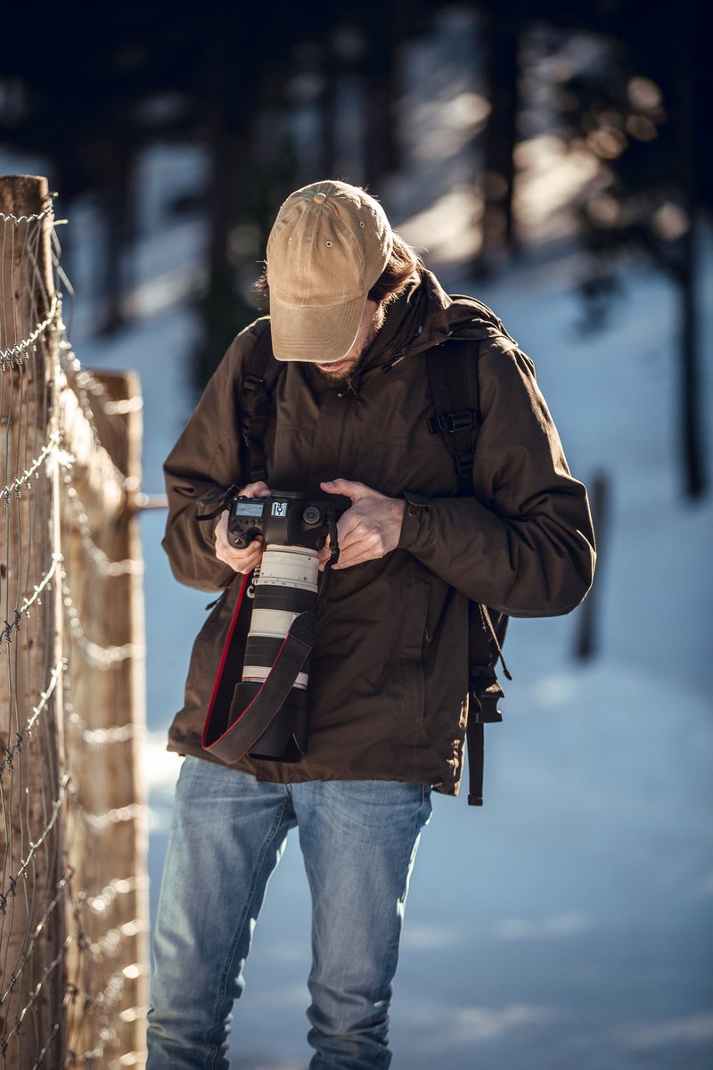 Victor Sheverda tweet media