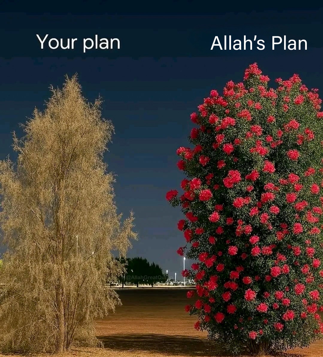 “Surely, Allah is the best of planners.”

— Al Qur’an [8:30]