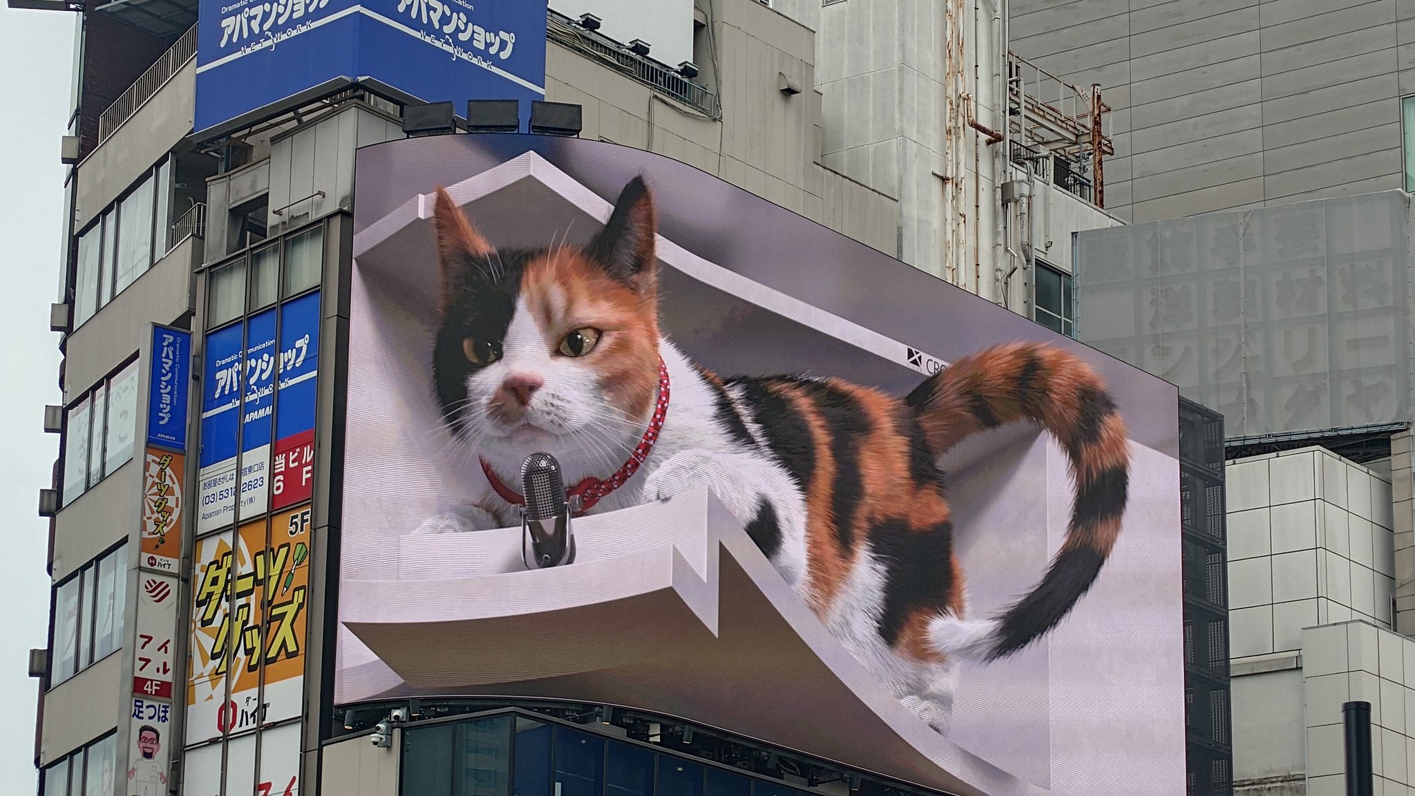 猫仮面② 仮面ゼツボーグ on X: 