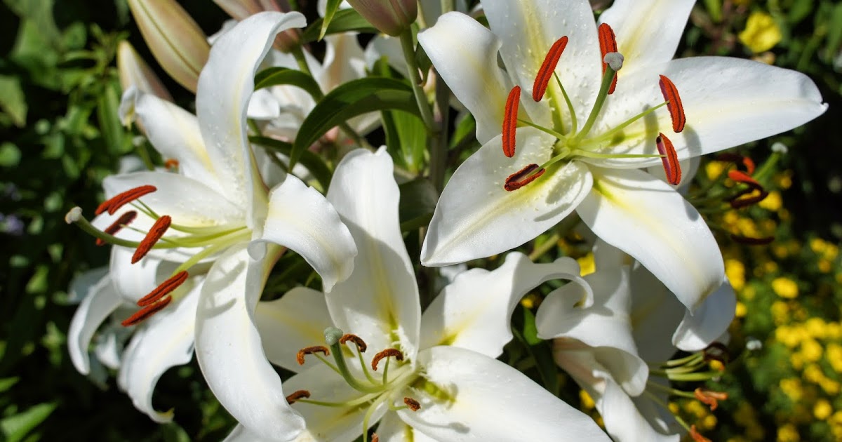 Валентина Валерьева tweet media