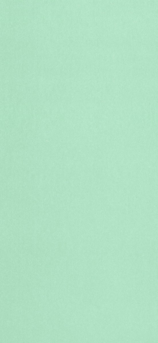 THE LIFE OF A SHOWGIRL