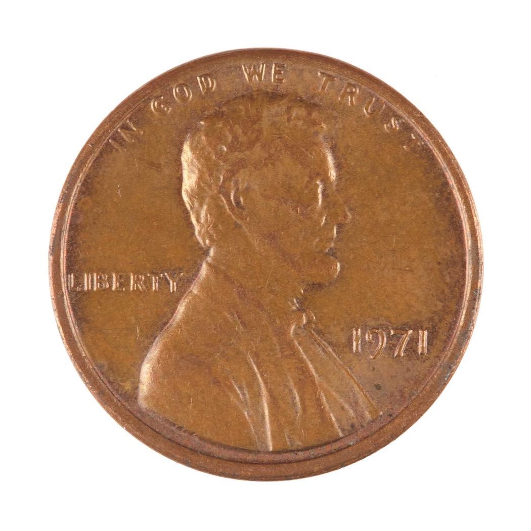 MARQ528 (🐥,🪱,🌿) tweet media