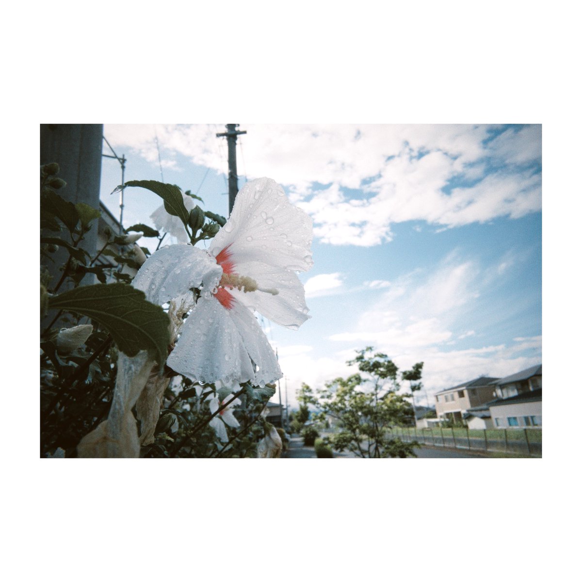 𝚖𝚘𝚗𝚔𝚢𝙳𝙸𝙾 (@monkydio) on Twitter photo 