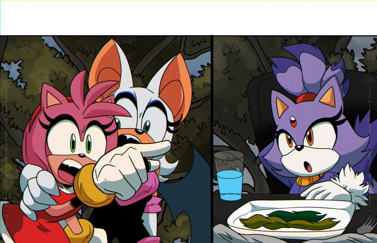 ✨Sonic the Hedgehog's Amy Rose, Rouge the Bat and Blaze the Cat doing the "woman yelling at cat" meme✨