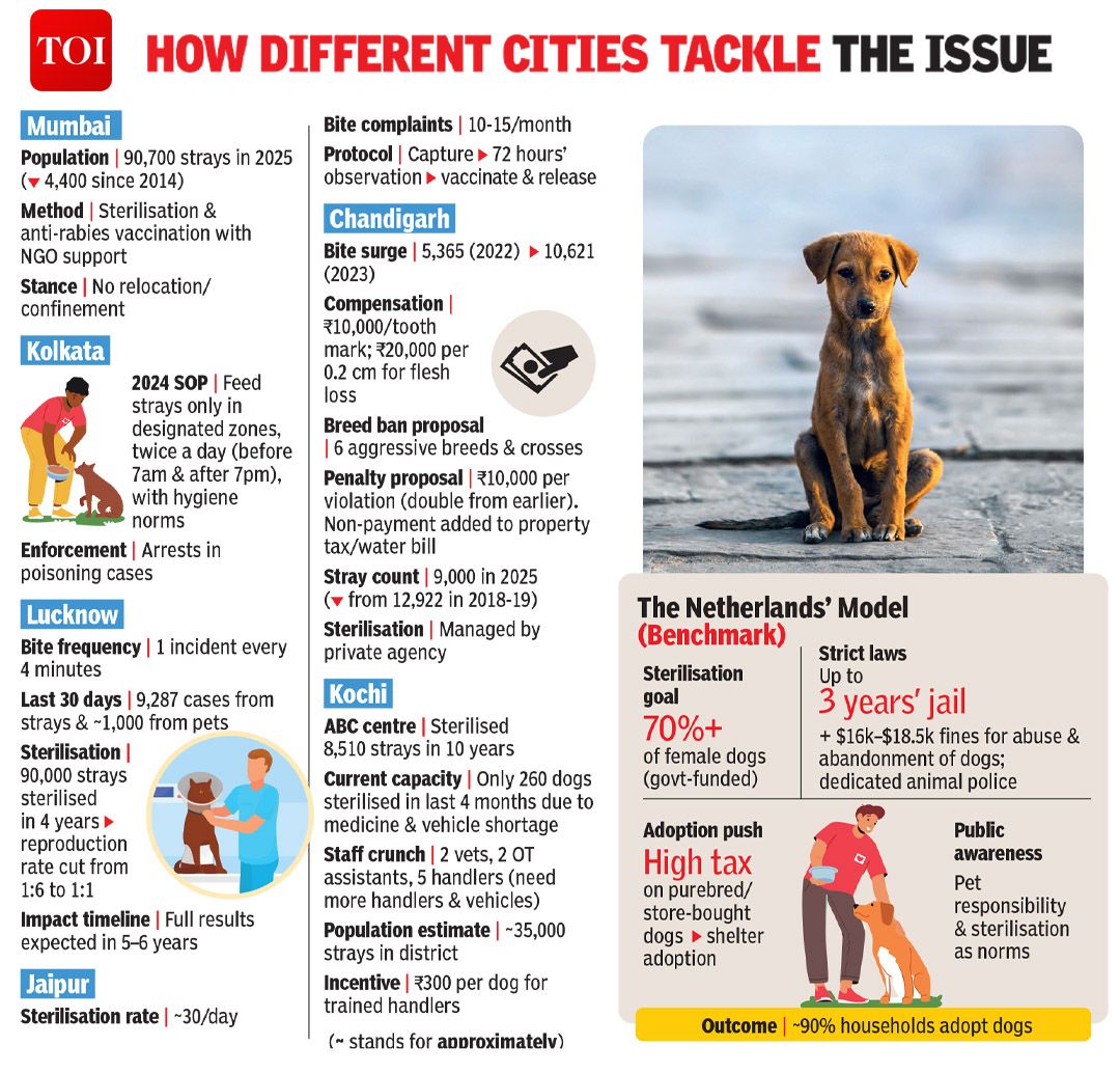 #Delhi #dog menace: RWAs hail #SupremeCourt order to shift #strays to shelters, say it will curb bites, late-night chases; some doubt civic bodies’ ability to execute 

Details here 🔗toi.in/zPTkxY