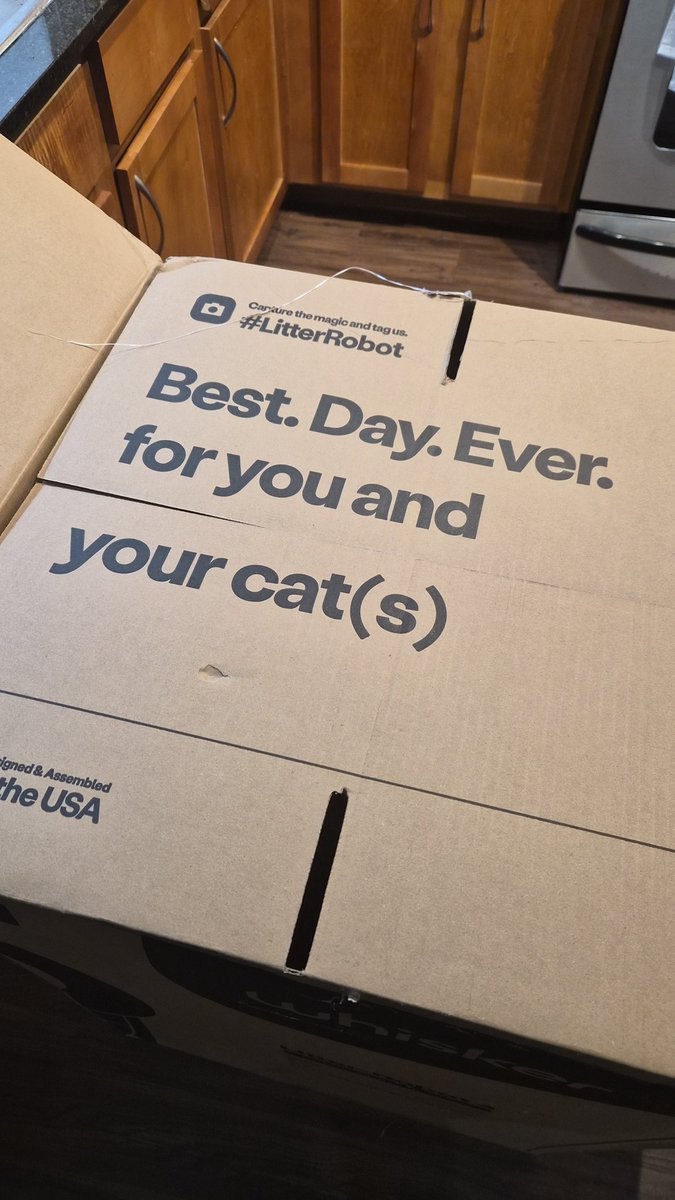 me and sasha got a litter robot sooo yeah we're getting married