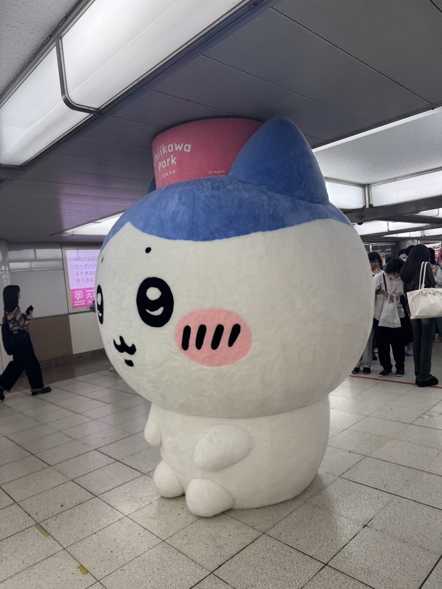 ナンパは躊躇しちゃう方が多いんですね！
今度せーらの服装とか場所とか言うので、せーらに声かけてください💕

今日は女友達と遊んでるんだけど、せーらはここにいるよ〜👀