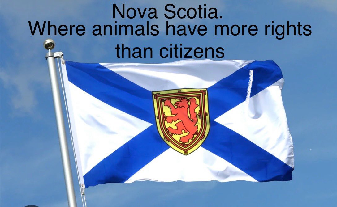 JasonFanjoy's tweet image. 