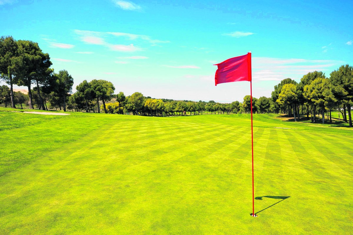 Mojo Hill tweet media