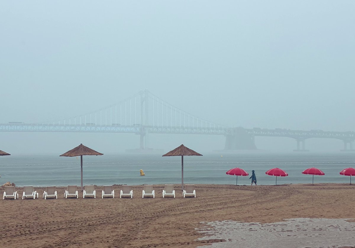 그렁그렁 눈물같은 비가,
침묵속에 놓인 언어처럼 내리고 내린다.