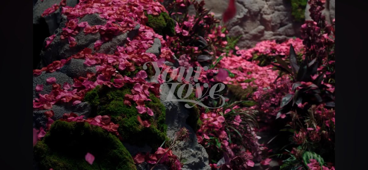BBU_BLACKPINK's tweet photo. The cinematography, The story, The song, The face and The KIM JISOO (@BLACKPINK) = perfection. 🖤💗

IN LOVE WITH JISOO
#YourLoveSpecialVideo
#YourLoveByJISOO https://t.co/fVjYHT6pdM